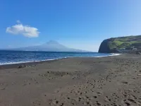 熊熊自然阿爾莫夏裡費 - 海滩