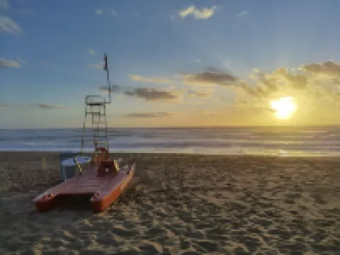 라 코르테 델리 욜리비