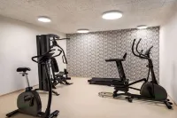 Amedia Lustenau, Trademark Collection by Wyndham - Gym