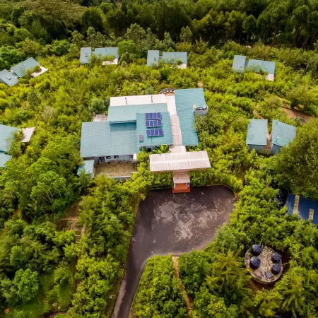 Kiho Gorilla Safari Lodge
