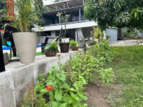 M&M Zavala Hotel and B&B Hotels in 