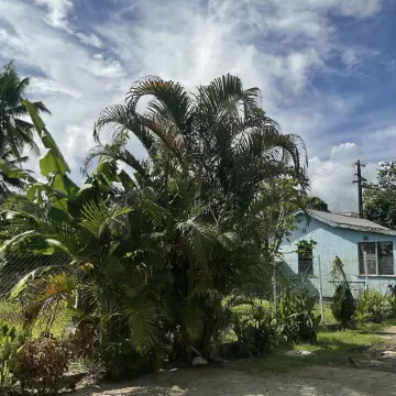 Fox Homestay Apartment