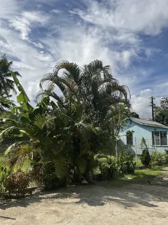 Fox Homestay Apartment