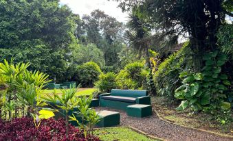 Hotel Raices Esturion