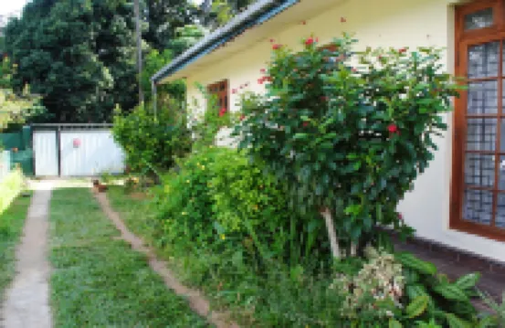 Relaxed Style of Stay Hotels near Sujatha's Homestay