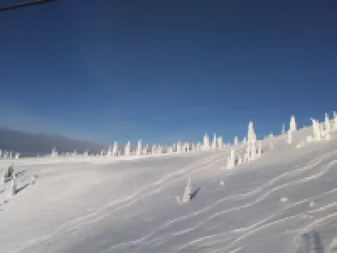 白魚鎮木屋汽車旅館 懷特菲什酒店