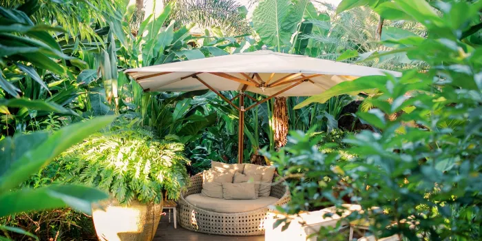 Four Seasons Resort Lana'i image 2