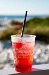 Edgewater Beach Hotel - bar