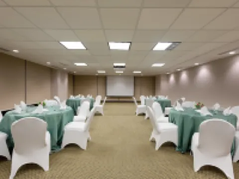 Holiday Inn 巴拿馬城 巴拿馬城酒店