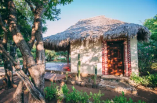 Hotel Punta Teonoste Hotels in 