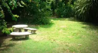 La Gamba Rainforest Lodge Hotels in Golfito