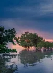 Ulani Lodge Hotels in Ibo