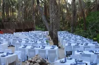 Ras El Ain Hotels in Tozeur