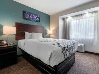 Sleep Inn Jacksonville Airport Hotels near Riverview Park