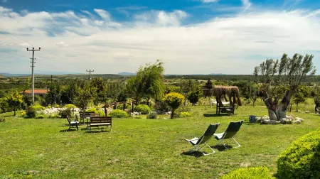 Adayel Otel & Bağ Evi Отели в г. Бозджаада