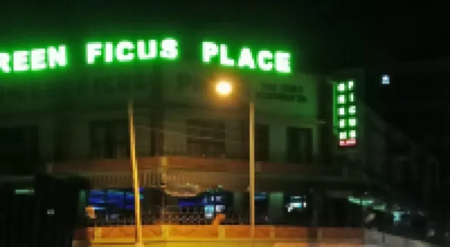 Green Ficus Place Отели в г. 