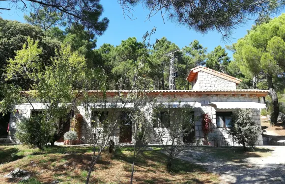 聖安東尼奧果園酒店