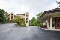 Gatlinburg Chateau Rentals - Homestays