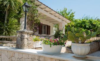 Agriturismo Salinola