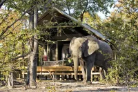 Elephant Pan - Campgrounds
