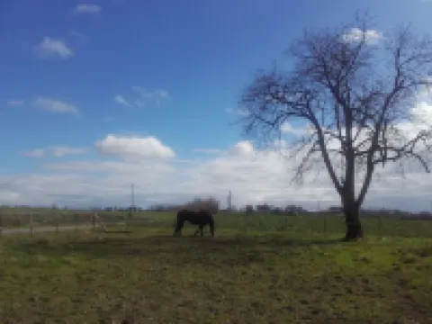 珍內特康帕尼酒店