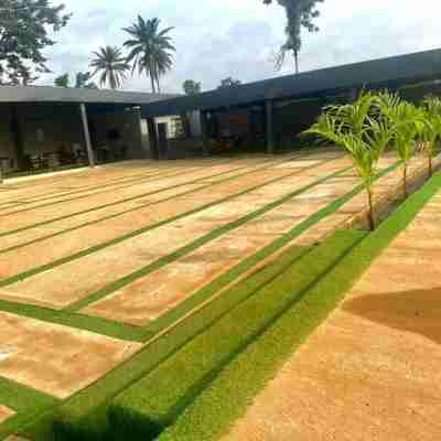 Rove Luxury Hotel and Suites Hotel Exterior