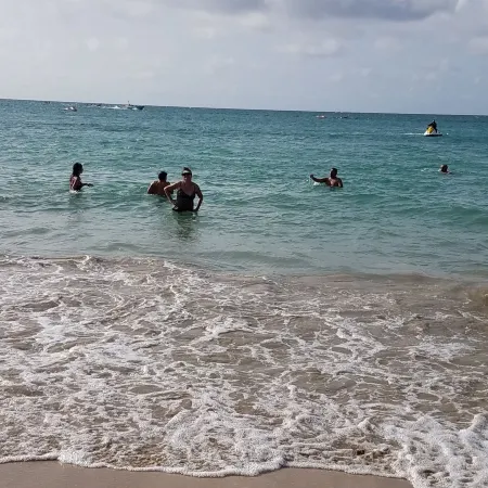 Mare 1660