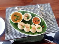 Tethys Himalaya Hotels in Solan
