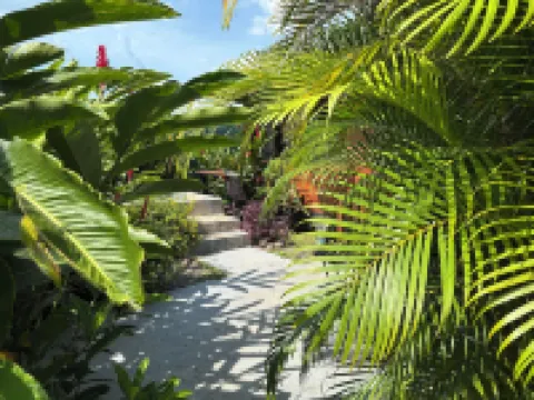 Kwepal小屋 哥斯達黎加