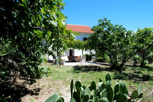 Detached House Miketa Hotels in Opcina Preko