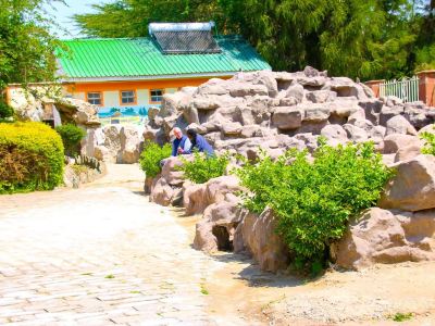 Naivasha Peppercorn Holiday Resort