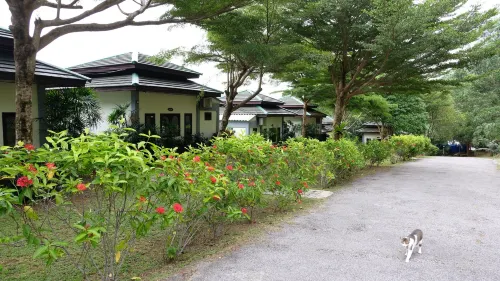 Khaolak Hillside Villa - Homestays