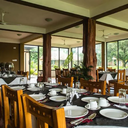 Into the Wild Eco Resort