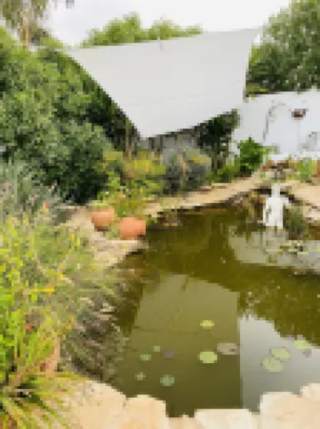 Palm View Guesthouse, Adults Only