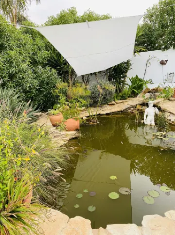 Palm View Guesthouse, Adults Only