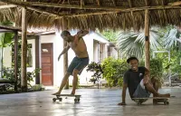 Hotel Ingigante Hotels in Manzanillo