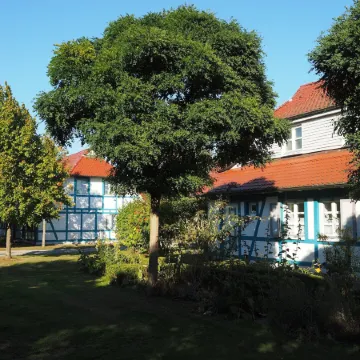 Wohnung in Dranske Mit Garten