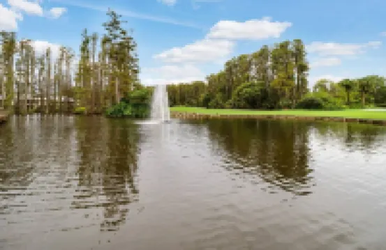 Lake & Golf Views in Saddlebrook Resort. 2 Bed/2Bath