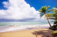 Lovely Garden Beachfront Villa near of San Juan