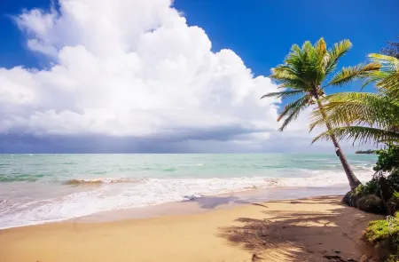 Lovely Garden Beachfront Villa near of San Juan