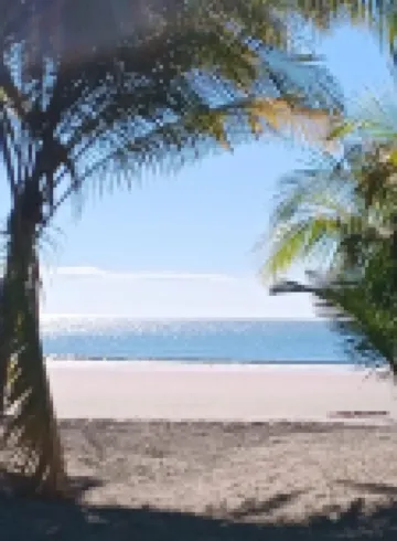 Villa in Paradise with Pool (steps to beach) 坦博爾酒店