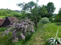 Light, stylish and comfortable in sonnenumfluteten timbered property