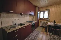 PRETTY TWO-ROOM APARTMENT IN ALPINE STYLE