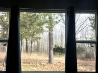 4Br, 4 Private Acres, Fire Pit, Near Buffalo River and Canoe Rentals