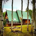 Quiet Aspen forest with a Mountain View.