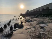Stylish shepherd's hut, 10 mins walk from beach and village