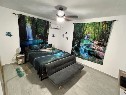 Rainforest Relaxation at Casa Golden Coqui