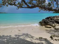 Steps From the Sandy Beach