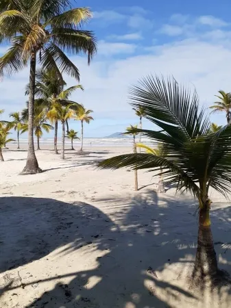 Townhouse Beach with Wifi, pool, 3 suites, 6 spaces, 257 mts, 5 bathrooms