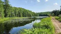 Secluded Muskoka Glamping Cabin with Private Lake & Trails